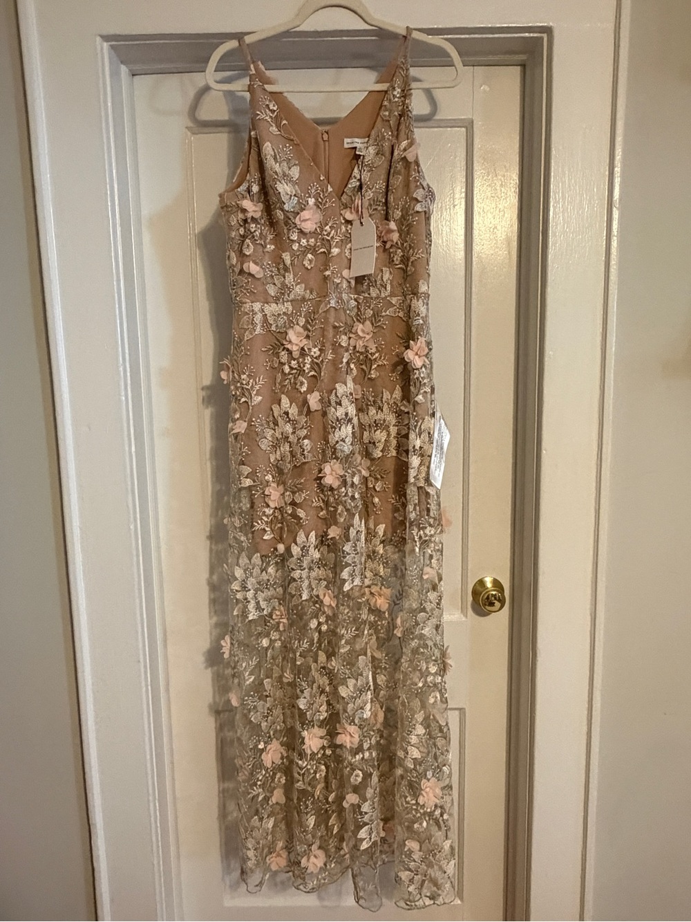 Dress the Population Nude Pink Floral Embroidered Maxi Dress